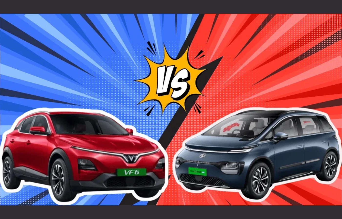 VF6 vs Windsor EV pro